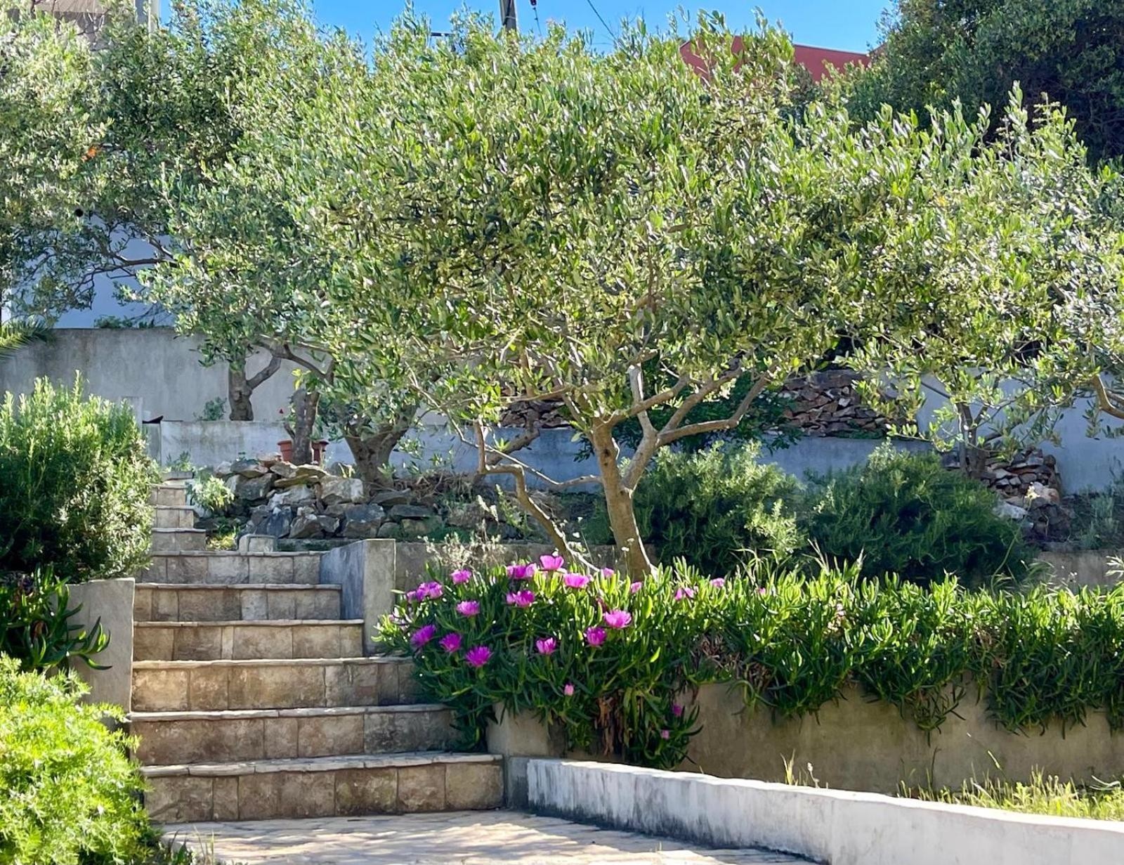 Villa Bua - Beautiful Seafront Apartments Трогир Экстерьер фото